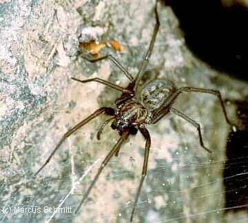 Zur Homepage des Bildautors